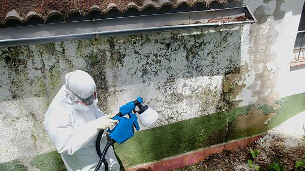 Top rated local Attic Mold Remediation specialists in Nanjemoy, MD